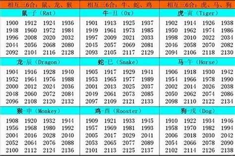 2023年是什么命|2023年出生五行属什么的 是什么命